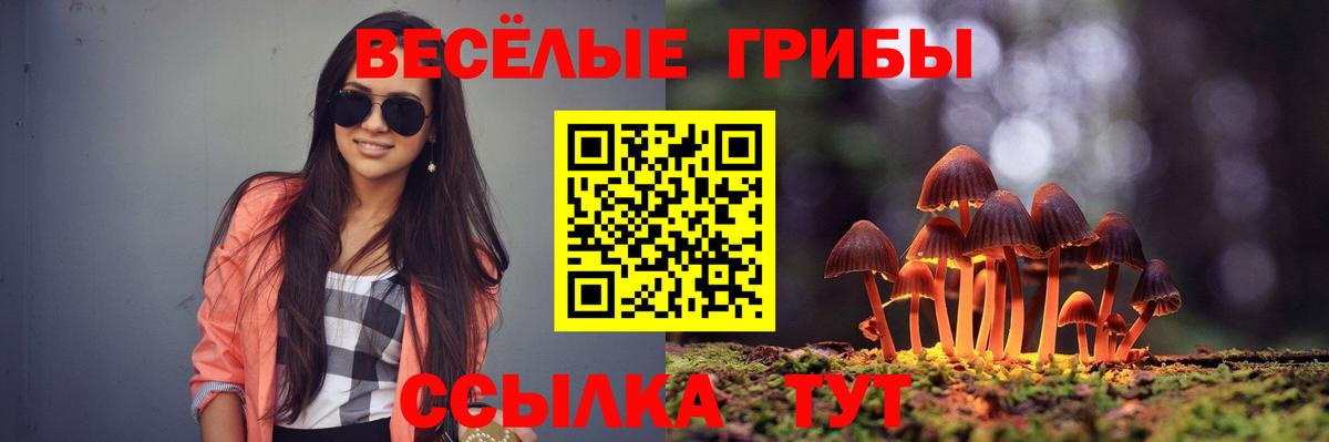 Каменск-Шахтинский  Галлюциногенные грибы MAGIC MUSHROOMS  Вход с VPN 